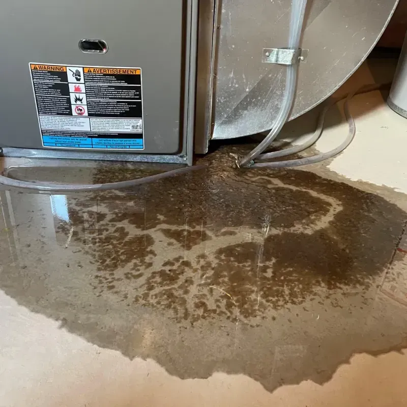 Appliance Leak Cleanup in Coffee County, AL